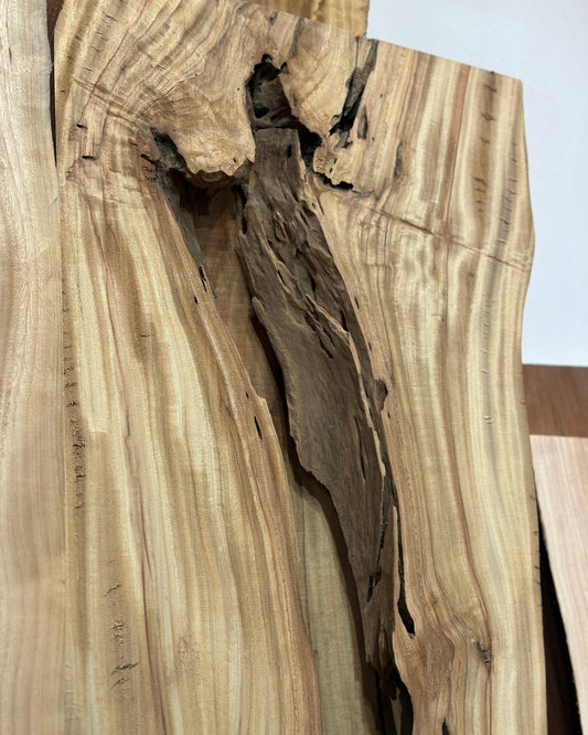 Signature | Camphor Tree Live Edge Slab (Duo) | 2100mm | SIG-6809
