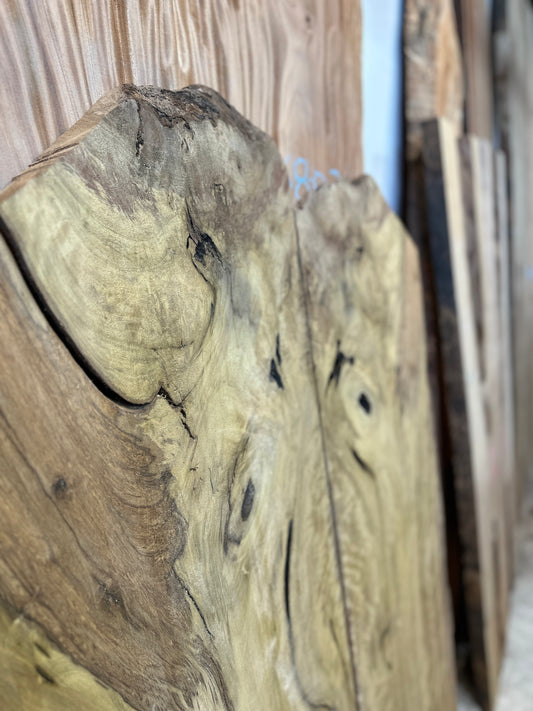 Signature Persimmon-leaved Litsea premium live edge wood slab with distinctive natural grain
