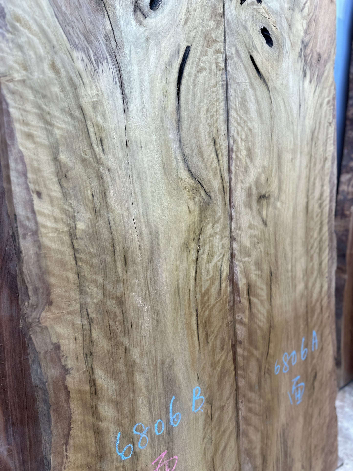 Signature Persimmon-leaved Litsea premium live edge wood slab with distinctive natural grain
