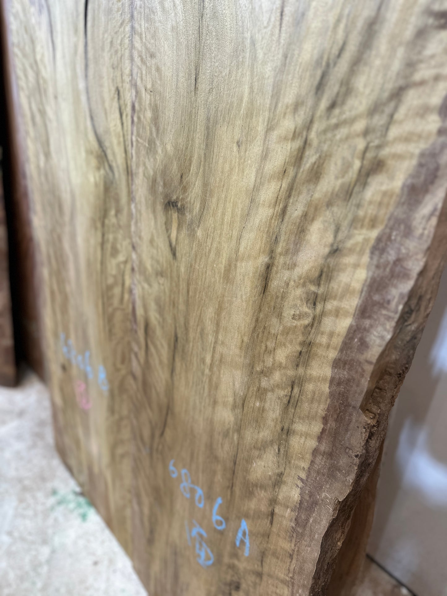 Signature Persimmon-leaved Litsea premium live edge wood slab with distinctive natural grain
