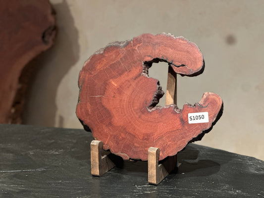 荔枝木樹脂圓凳 DIY 工作坊｜展示樣本 S1050