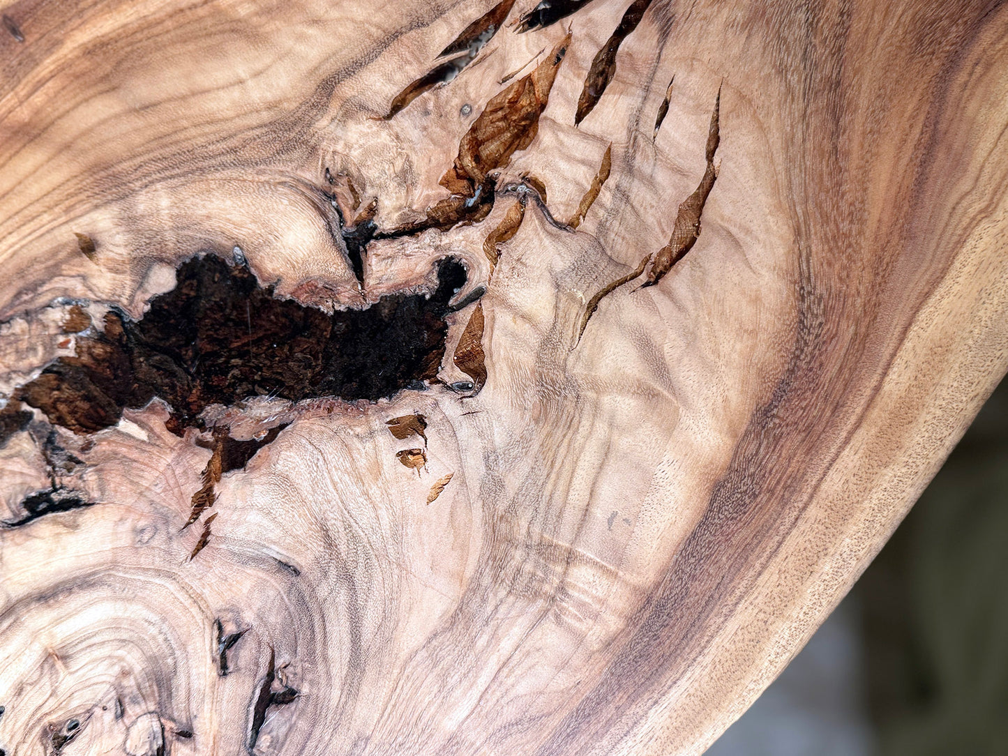 Camphor Teatable — ST‑007