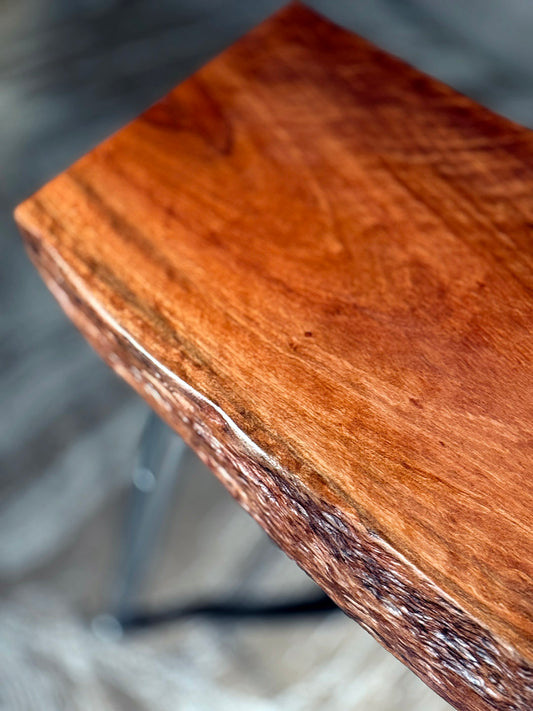 Lemon scented gum bench — ST‑008