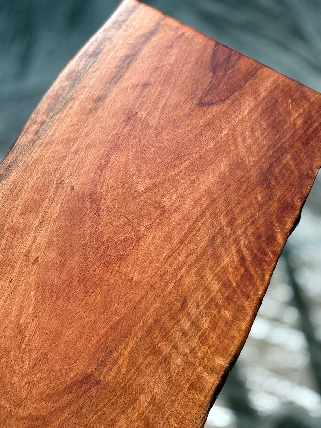 Lemon scented gum bench — ST‑008