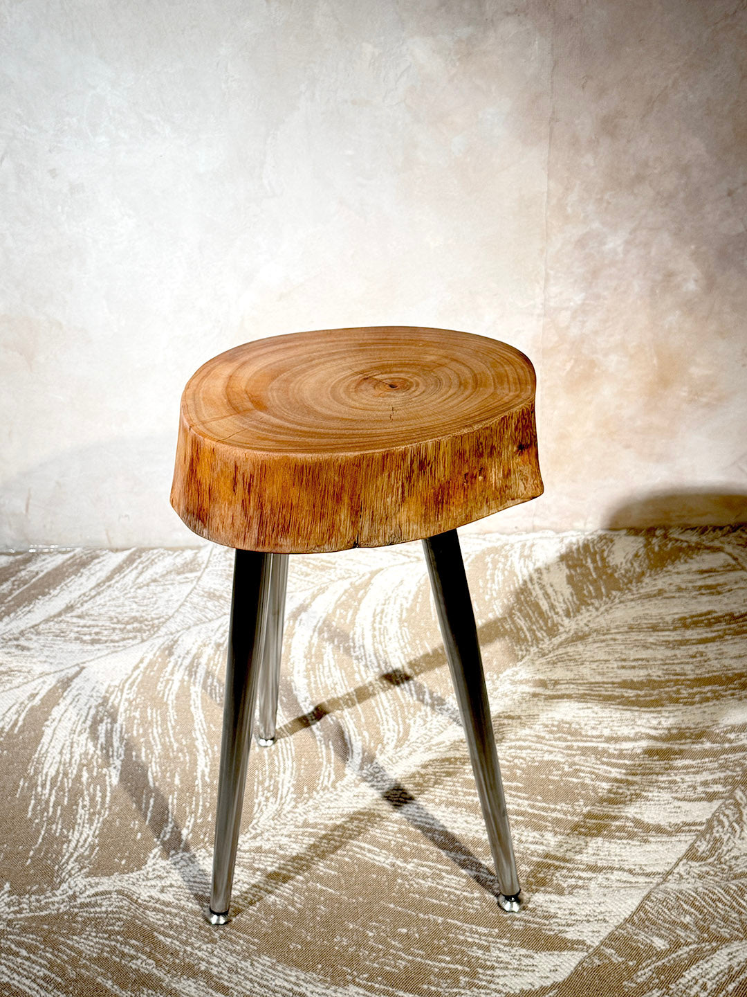 Ficus Cookie Table — ST‑010