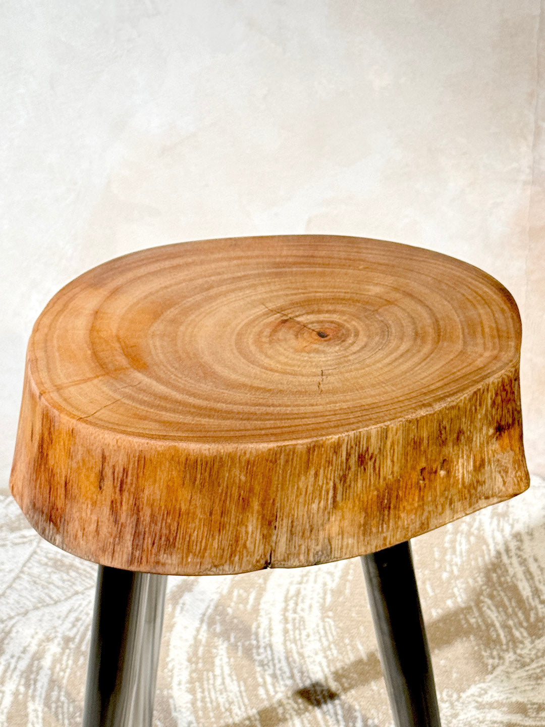Ficus Cookie Table — ST‑010
