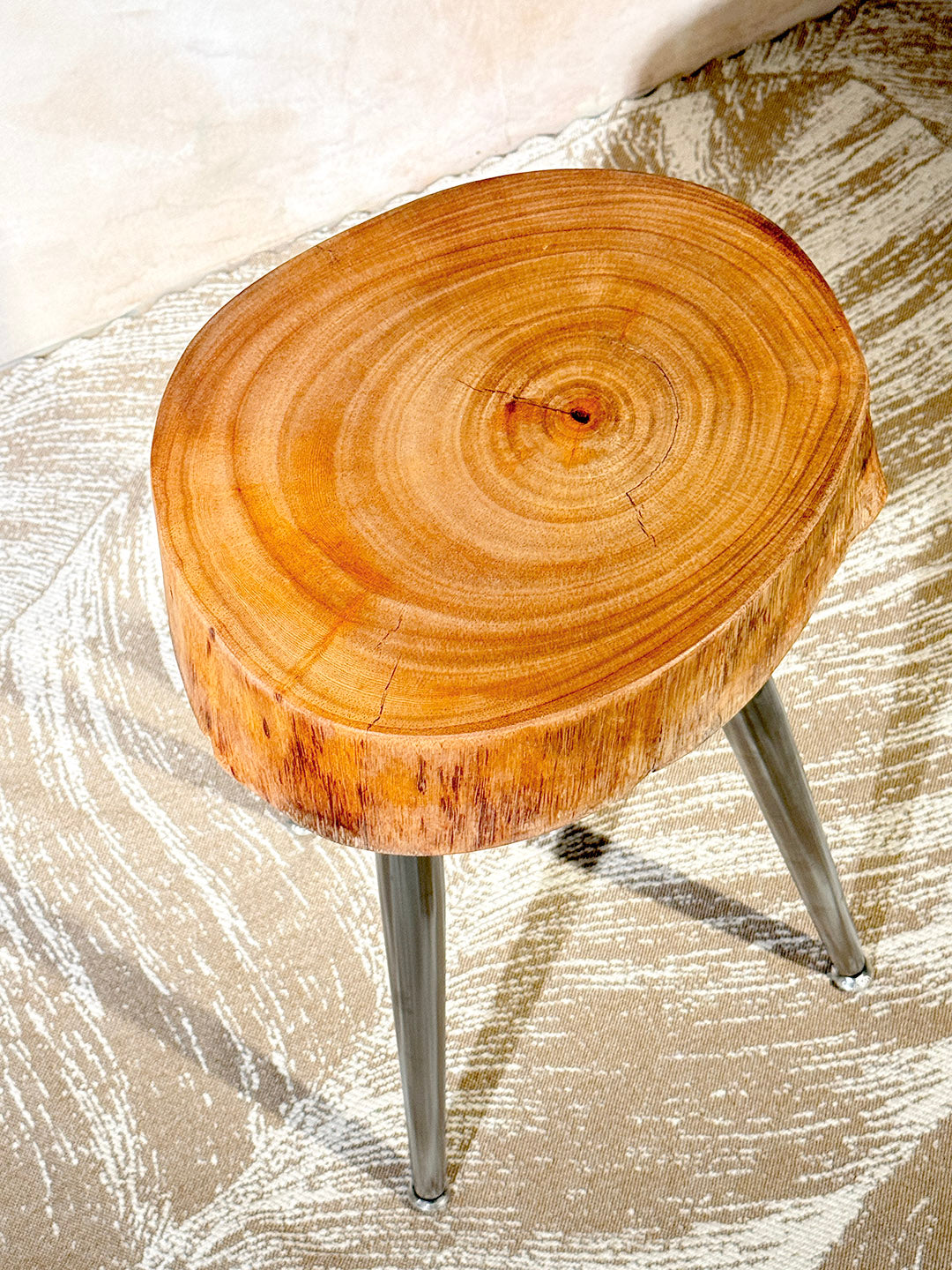 Ficus Cookie Table — ST‑010