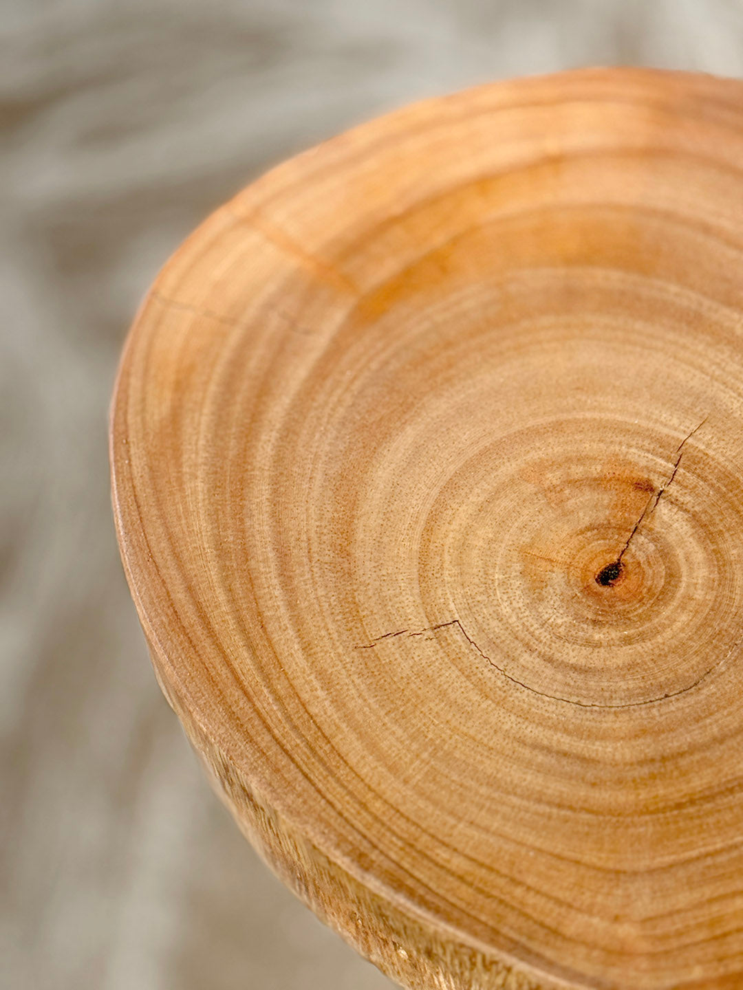 Ficus Cookie Table — ST‑010