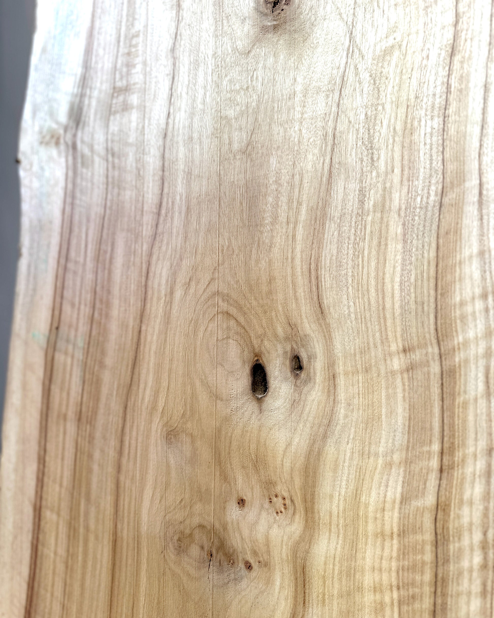 Estate Camphor Tree architectural-grade live edge wood slab with natural grain detail