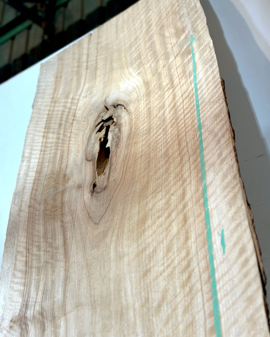 Estate Camphor Tree architectural-grade live edge wood slab with natural grain detail
