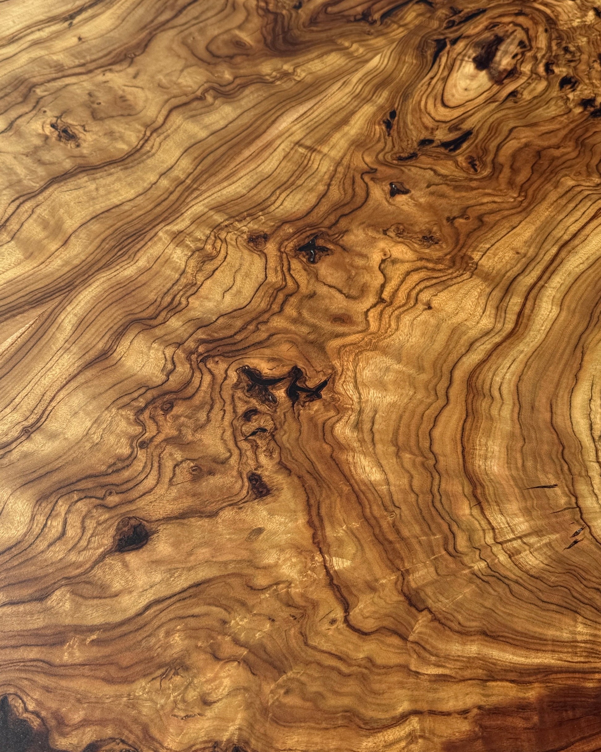 Estate Camphor Tree architectural-grade live edge wood slab with natural grain detail
