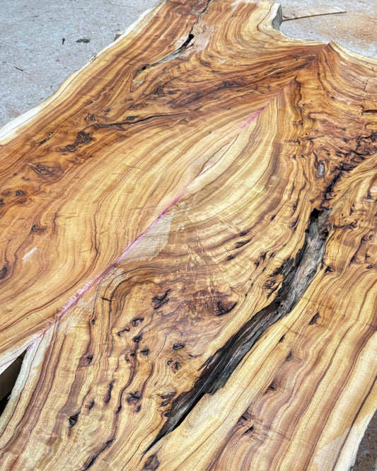 Estate Camphor Tree architectural-grade live edge wood slab with natural grain detail
