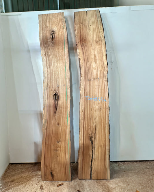 Estate Camphor Tree architectural-grade live edge wood slab with natural grain detail
