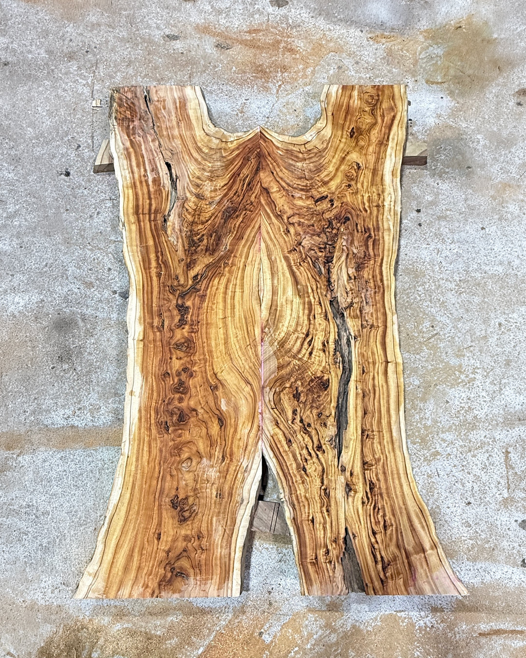 Estate Camphor Tree architectural-grade live edge wood slab with natural grain detail
