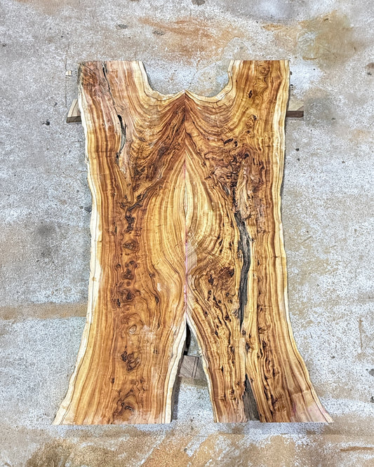 Estate Camphor Tree architectural-grade live edge wood slab with natural grain detail
