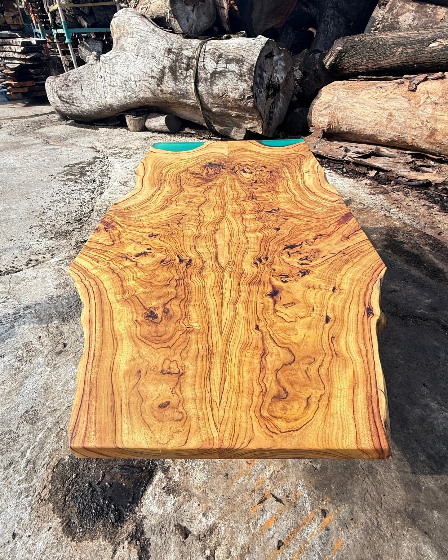 Estate Camphor Tree live edge dining table reference
