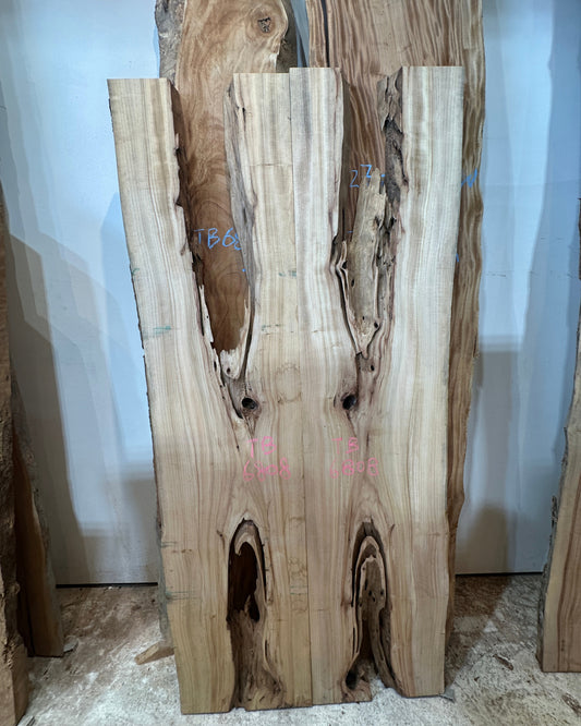 Signature Camphor Tree premium live edge wood slab with distinctive natural grain
