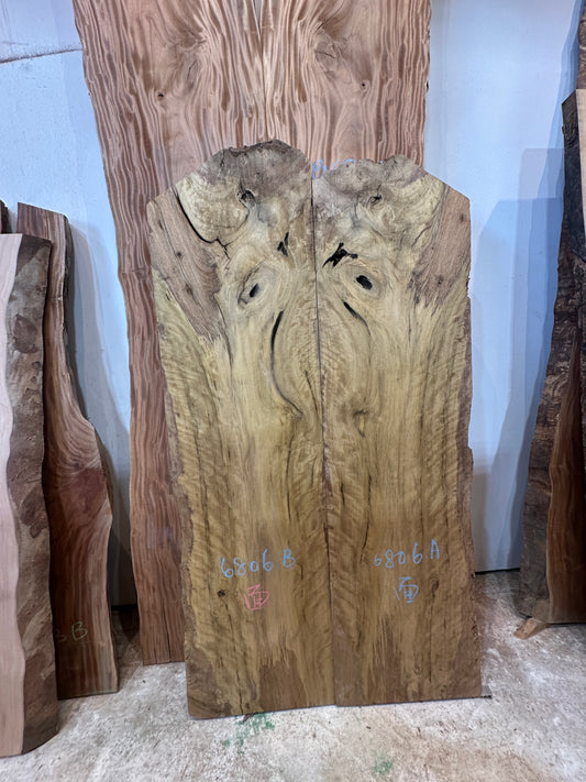 Signature Persimmon-leaved Litsea premium live edge wood slab with distinctive natural grain
