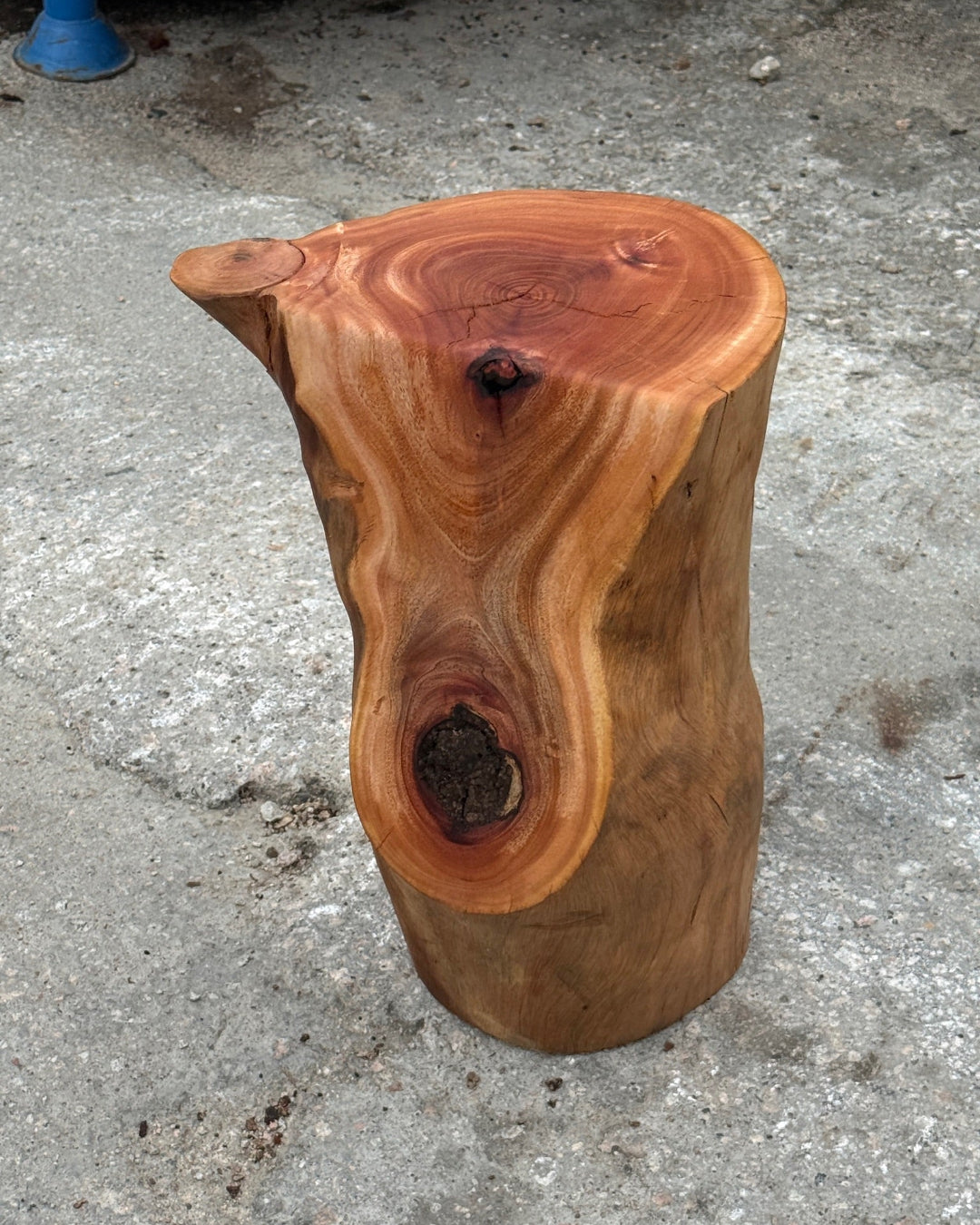 Tree stump stool workshop in Hong Kong at Timberbank – handmade solid wood stump stool