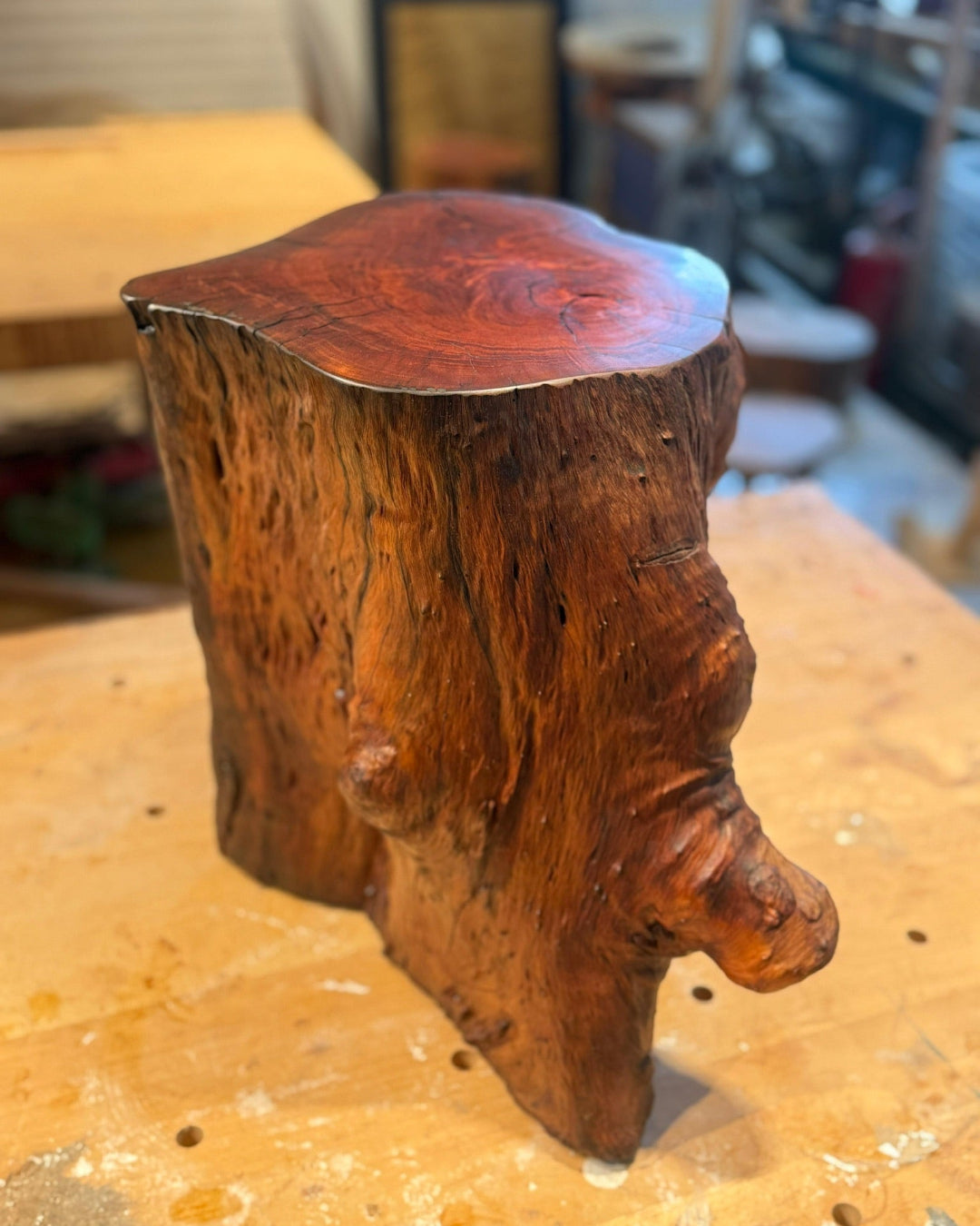 Tree stump stool workshop in Hong Kong at Timberbank – handmade solid wood stump stool