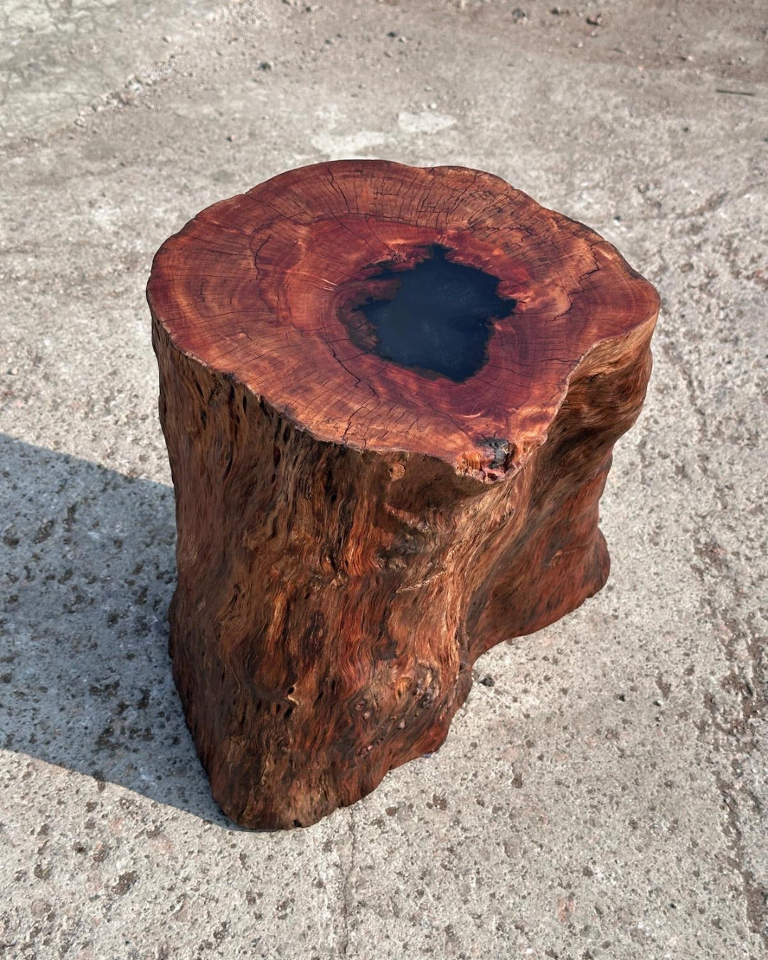 Tree stump stool workshop in Hong Kong at Timberbank – handmade solid wood stump stool
