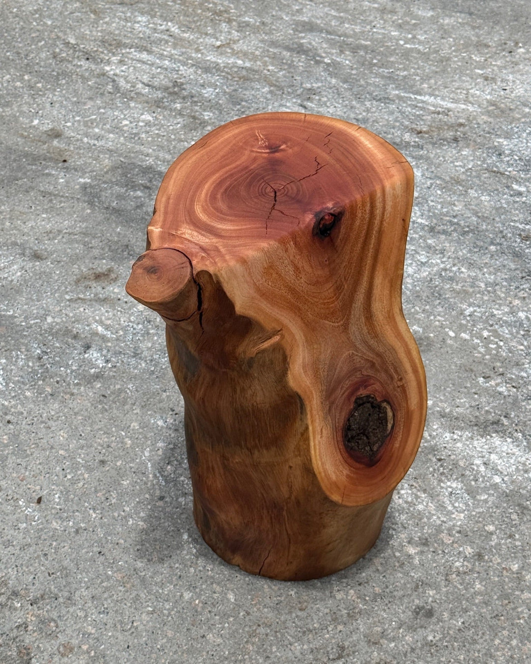 Tree stump stool workshop in Hong Kong at Timberbank – handmade solid wood stump stool
