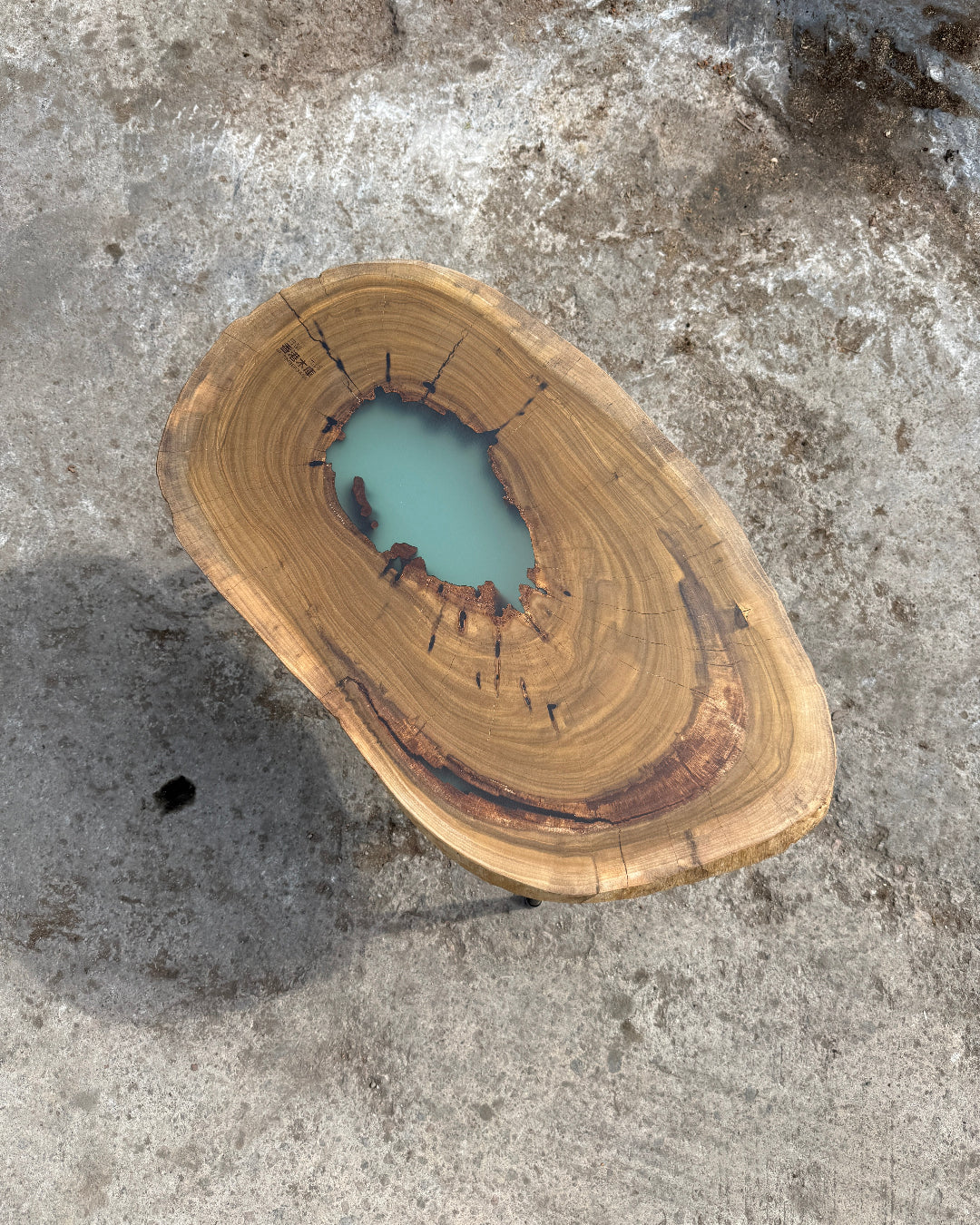 solid wood tea table workshop in Hong Kong at Timberbank – DIY natural slab coffee table experience

