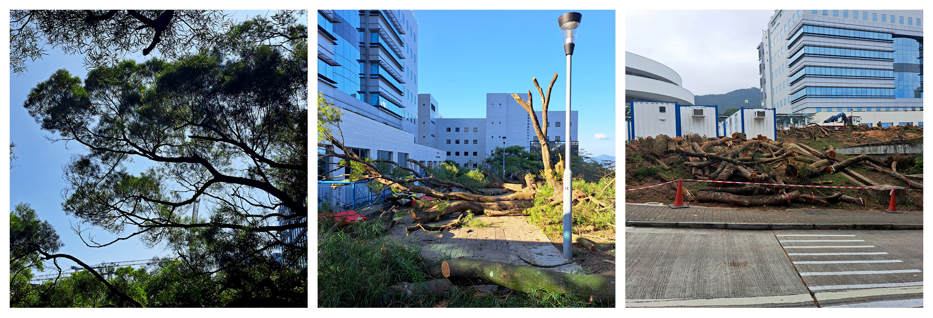 HKUST Student Center